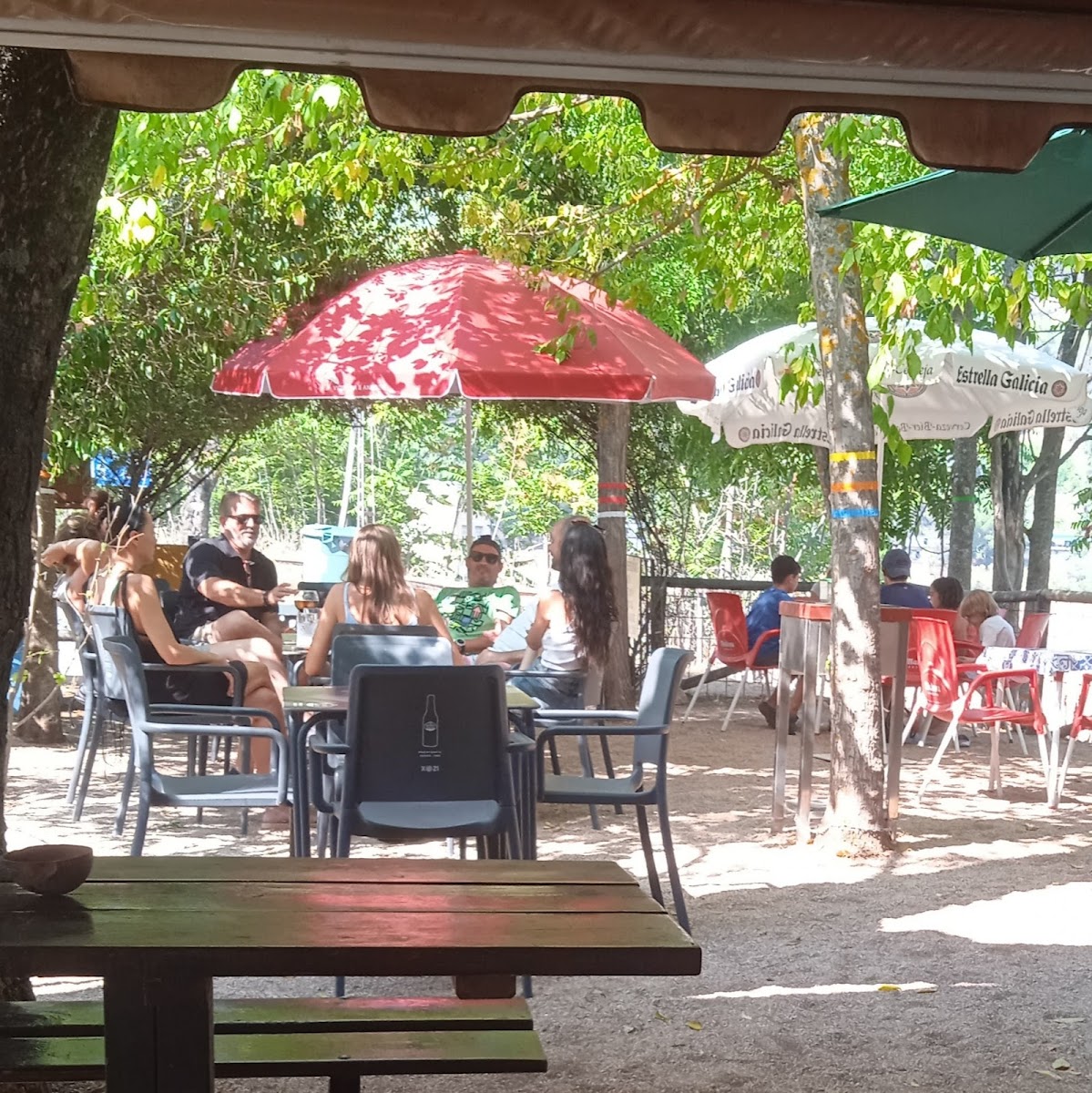 Chiringuito Árbol Del Cielo